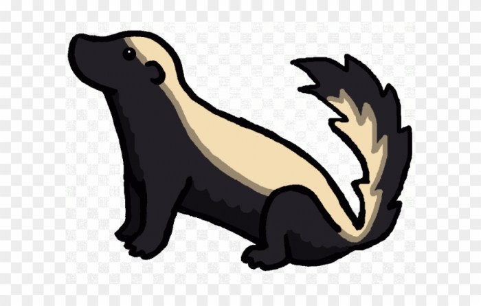 Badger drawings pixshark