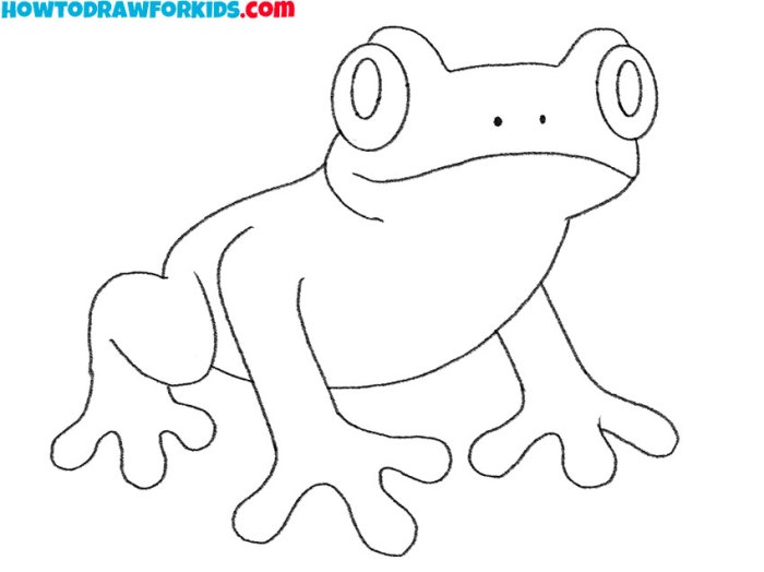 Drawing of a tree frog easy