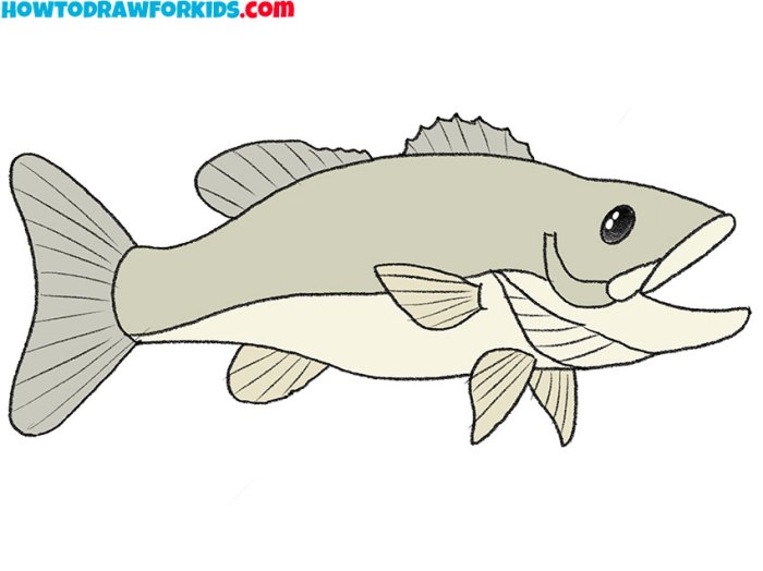 A easy drawing of a bass