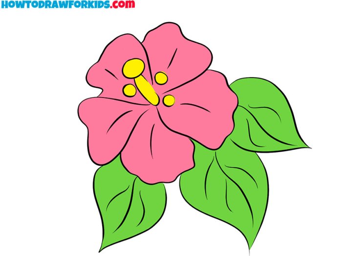 Flower images drawing easy trlabelopical