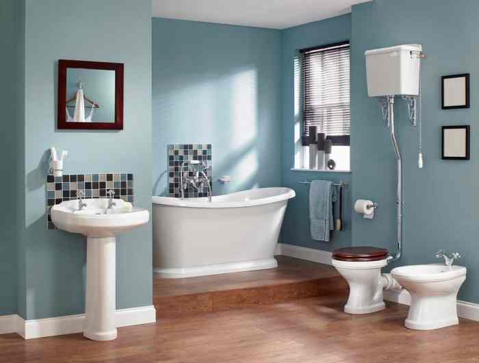 Bathroom decor ideas blue