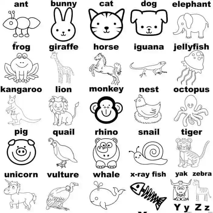 Animal alphabet coloring pages a z