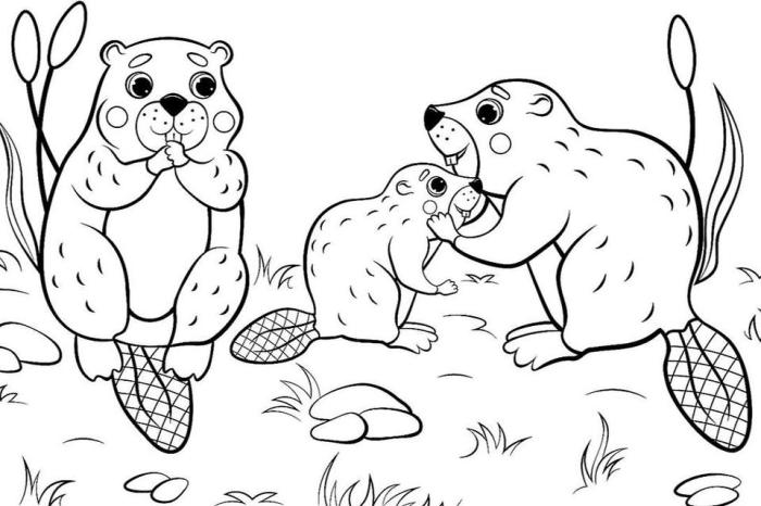 Animal coloring sheets for free printables