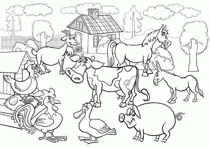 Barn animals coloring pages