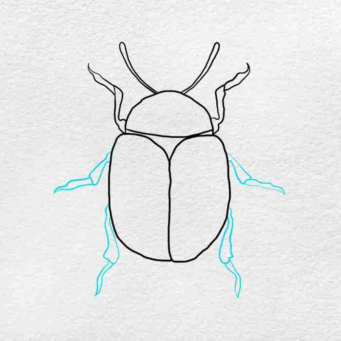 Digging legs drawing insect easy