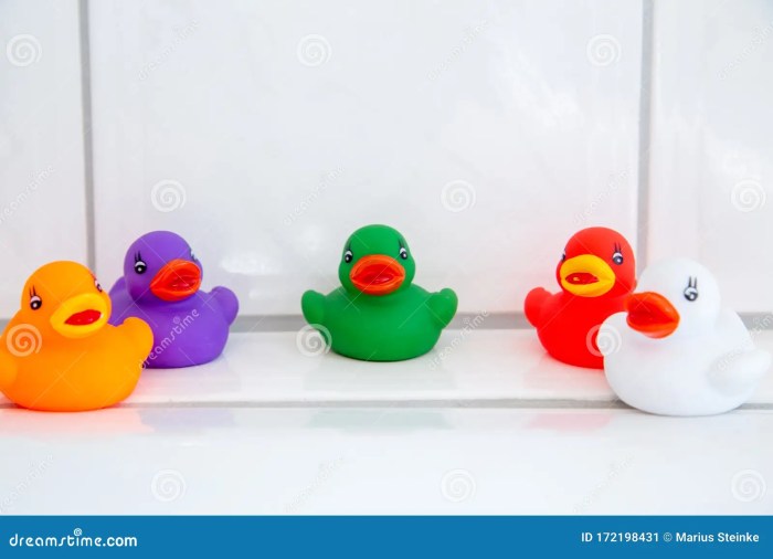 Rubber ducky bathroom decor