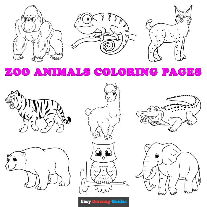 Coloring book pages of animals free