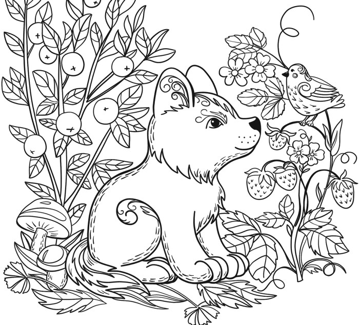 Coloring book pages of animals free