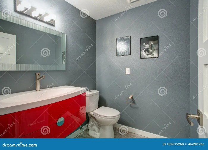 Red and grey bathroom decor