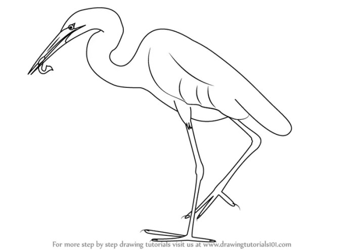 Cattle egret drawing easy