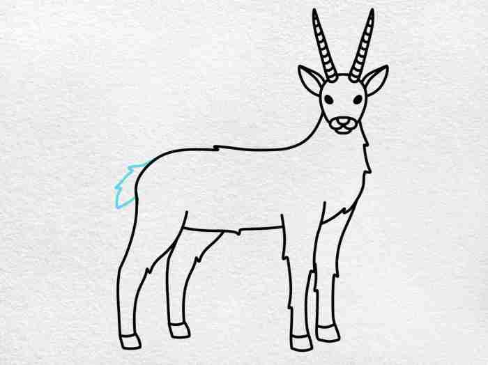 Easy drawing of an gazelle