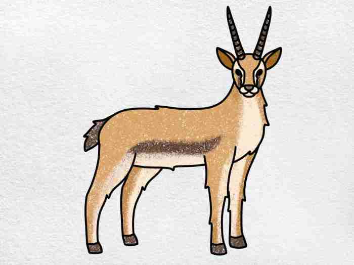 Easy drawing of an gazelle