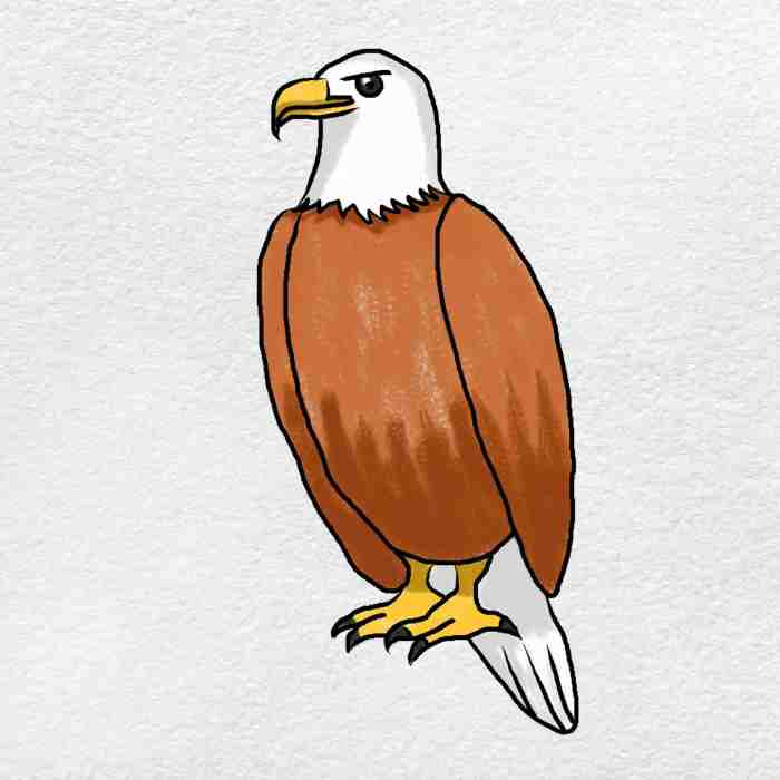 Drawing eagle easy ejms