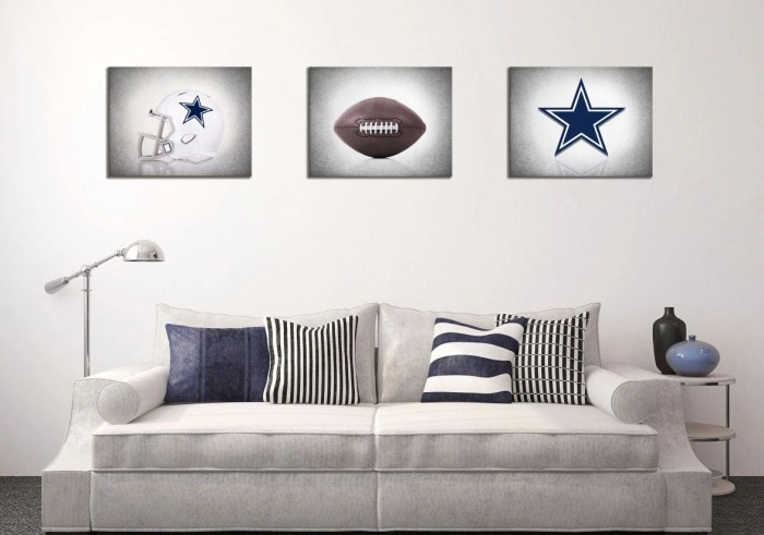 Dallas cowboys bathroom decor