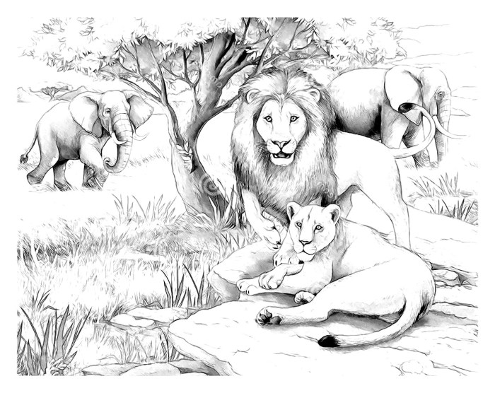 African animals coloring pages for kids