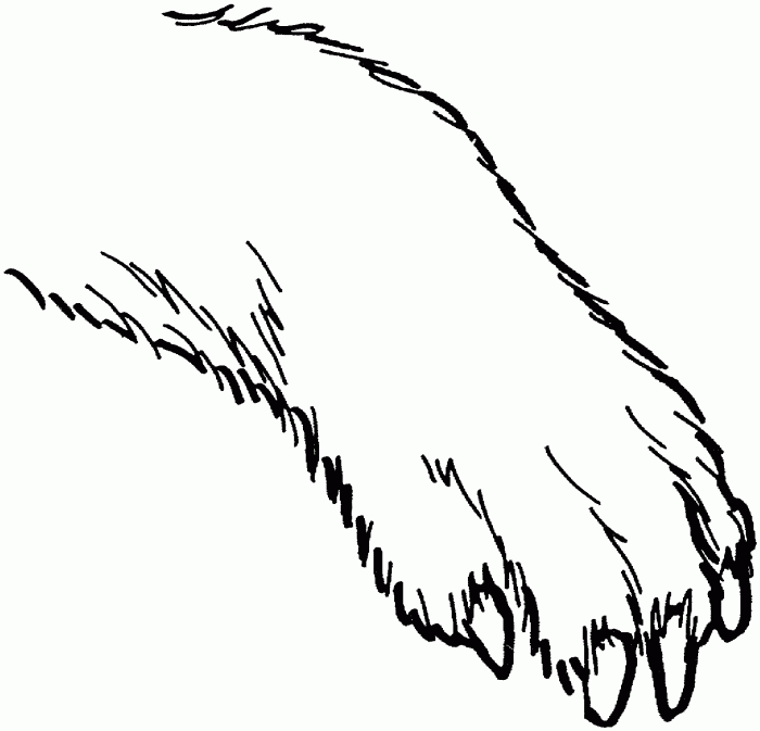 Coloring pages of animal paws