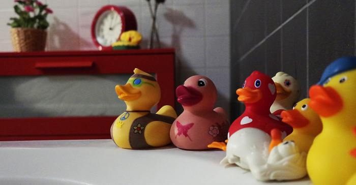 Curtain ducky worldmarket accessories