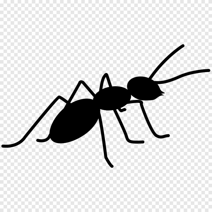 Bullet ant drawing really easy