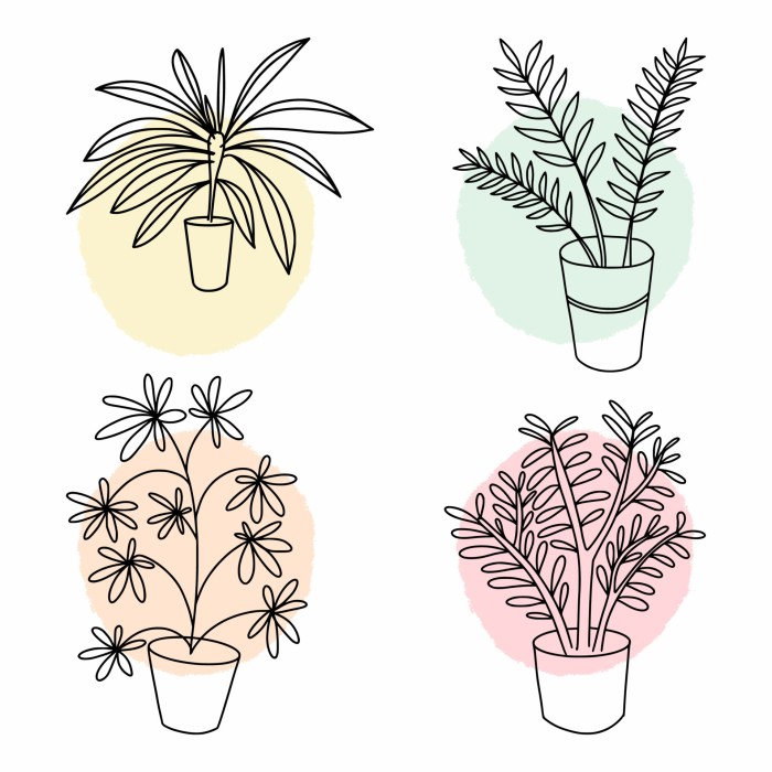 Plant drawing with roots easy